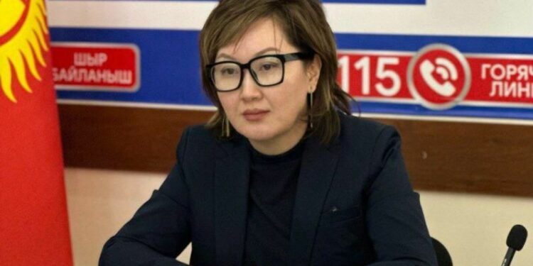 Акыйкатчы: «Журналисттерди кармоо сөз эркиндигине тескери таасирин тийгизет»