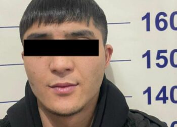 Бишкекте чөнтөкчүлөр кармалды (сүрөт)