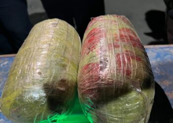 Жалал-Абадда Тажикстан аркылуу Өзбекстанга баңгизат ташыган шектүү кармалды