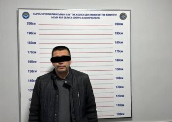 Балыкчыдагы жол кырсык: Шаардык милициянын мурдагы башчысы менен бир тууганы камакка алынды