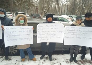 «Өзүмө-өзүм кол салганга даярмын». Тиш дарылатып чарчап калган кыздын чоң энеси президент менен жолугууну талап кылды (видео)