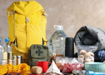 Коопсуздук куржуну деген эмне? ӨКМ элди баштык даярдап коюуга чакырды