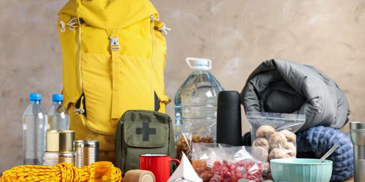 Коопсуздук куржуну деген эмне? ӨКМ элди баштык даярдап коюуга чакырды