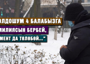«Расмий никебиз жок болчу, алимент ала албай жатам» | Мамлекеттик жактоочу кандай жардам бере алат?