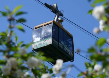 Бишкекте аркан жол системасын киргизүү пландалууда