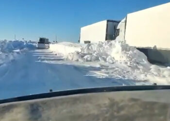 Казакстандагы бороондон улам 7 кыргызстандык жолдо калган (видео)