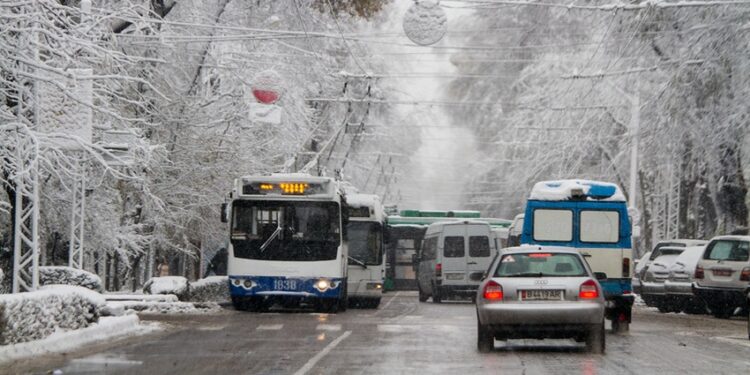 Бишкекте коомдук транспорт эмне үчүн күн сайын текшерилип жатат?