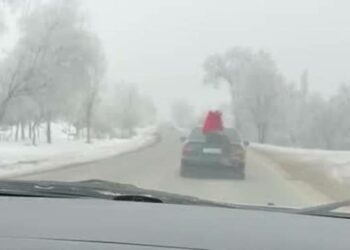 Жүрүп бара жаткан унаанын артына отуруп алган жарандын видеосу тарады