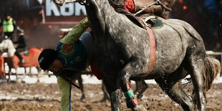 Көк бөрү боюнча райондор аралык чемпионат башталды