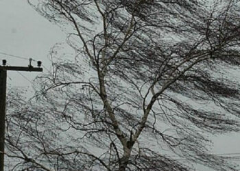 Шашылыш билдирүү! Бишкек жана Чүйдө катуу шамал болот