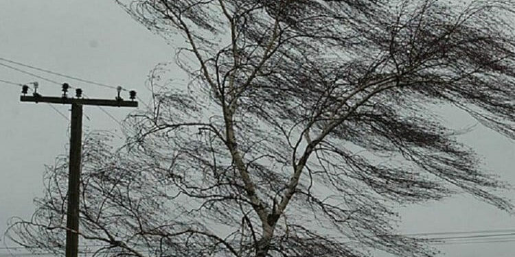 Шашылыш билдирүү! Бишкек жана Чүйдө катуу шамал болот