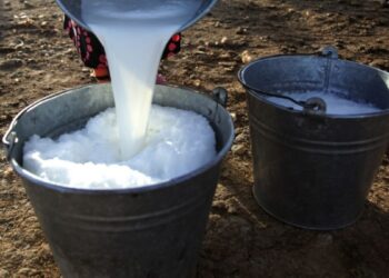 «Жазында митингге чыгышат». Депутат сүттүн баасы боюнча меселе көтөрдү
