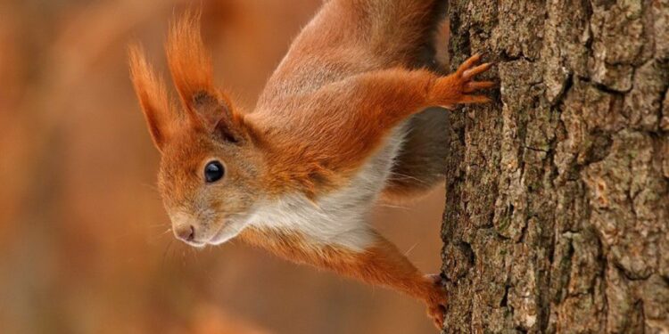 23-февралга карата өлкөдө күтүлгөн аба ырайы