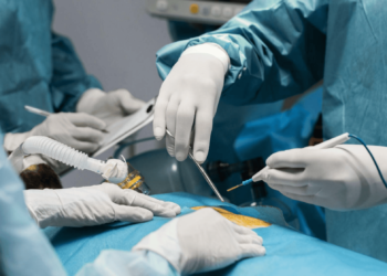 Акысыз бөйрөк алмаштыруу боюнча суроолор болсо кимге кайрылуу керек? Номурлар