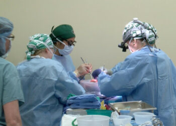 АКШда жаран аялына берген бөйрөгүн кайтарып берүүнү талап кылды