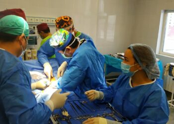 Бишкекте 22 жаштагы кыздын бөйрөгүн бекер алмаштырышты (сүрөт)