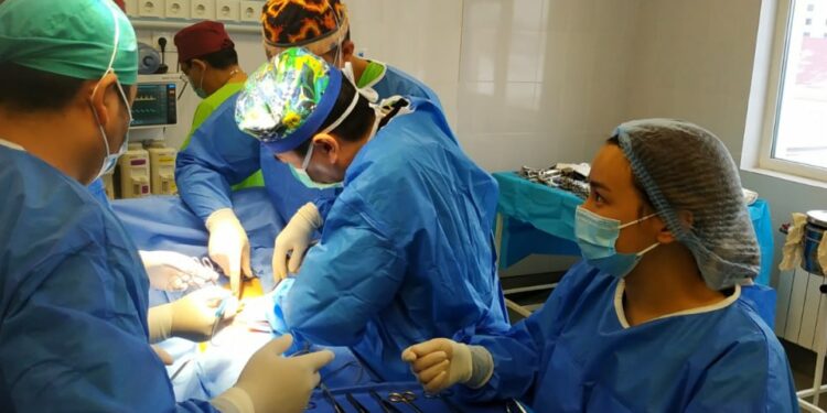 Бишкекте 22 жаштагы кыздын бөйрөгүн бекер алмаштырышты (сүрөт)