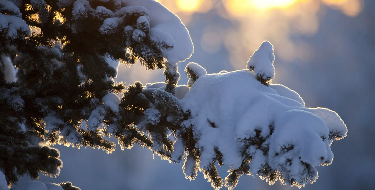 Бишкекте +4 градус. 22-февралга карата өлкөдө күтүлгөн аба ырайы