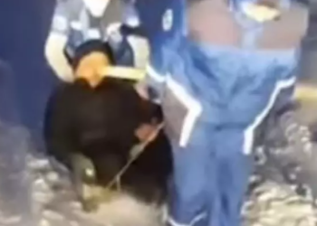 Казакстанда кардан улам бейтапты чана менен сүйрөгөн дарыгерлердин видеосу