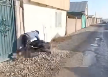 Бишкекте гашиш менен милиция кызматкери кармалды (видео)