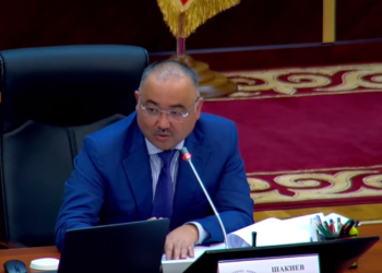 Шакиев: «Бизде да 4-класска чейин бир гана кыргыз тилинде окутуу керек»