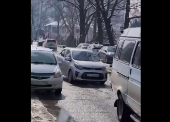 Президенттин кеңешчиси Жогорку Кеңештин айланасын иретке келтирүүнү суранды (видео)