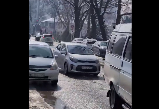 Президенттин кеңешчиси Жогорку Кеңештин айланасын иретке келтирүүнү суранды (видео)