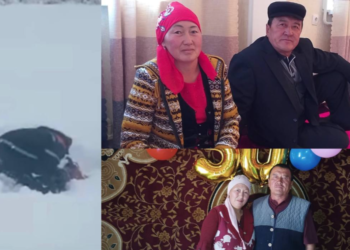 Алайкууда кар жиреп барып, жарык берген энергетиктер. «Атам кыйынчылыкка карабай, 15 жылдан бери иштеп келе жатат» дейт кызы