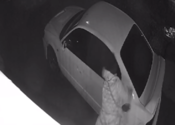 Жалал-Абадда аялды «үйүңө жеткирем» деген айдоочу аны зордуктоого аракет кылган. Окуянын видеосу