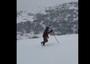 71 жаштагы жеке ишкер бактылуу карылыктын сырларын бөлүштү (видео)