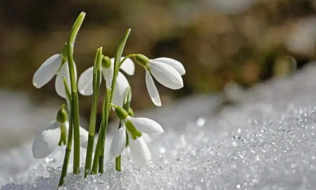 29-февралда өлкөдө күтүлгөн аба ырайы