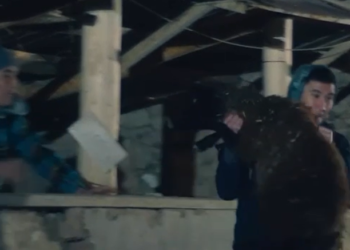 Адашып кеткен малды байлап алса эмне болот? Милиция видео даярдады