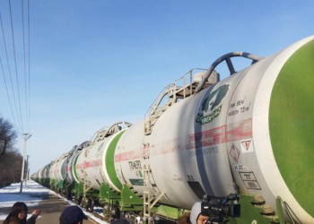 Түркмөнстан жөнөткөн гумжардам Бишкекке жетти (видео)