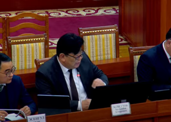 «Дааратканага кетти». Жогорку Кеңеште ыңгайсыз учур орун алды