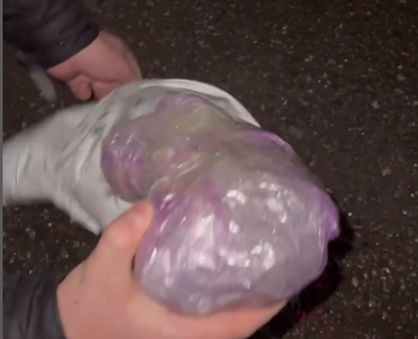 Бишкекте баңгизат таратууга шектүү кармалды (видео)