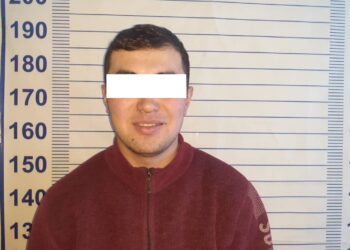 Лейлекте 53 баш койду 41 козусу менен коңшу өлкөдөн өткөрүп жаткан шектүү кармалды