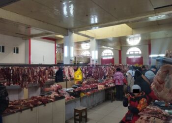 «Кош бухгалтердик эсеп жүргүзүшкөн». «Акиф» эт базарынын негиздөөчүсү менен директору кармалды