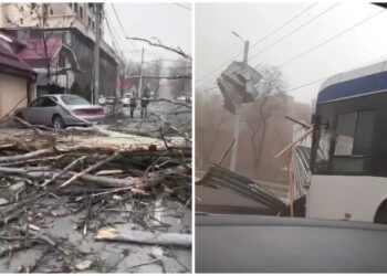 Бишкек менен Чүйдөгү катуу шамал: Ооруканага 24 адам кайрылган