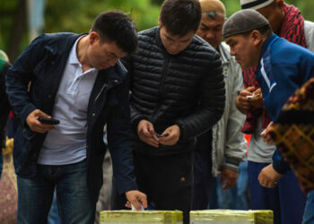 Быйыл битир-садаганын өлчөмү кандай болот?