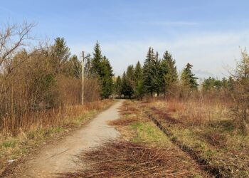 Бишкектеги Ботаникалык бакта 27 жаштагы жигит өз жанын кыймак болгон