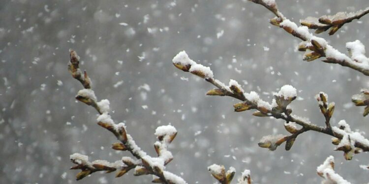 12-мартка карата өлкөдө күтүлгөн аба ырайы