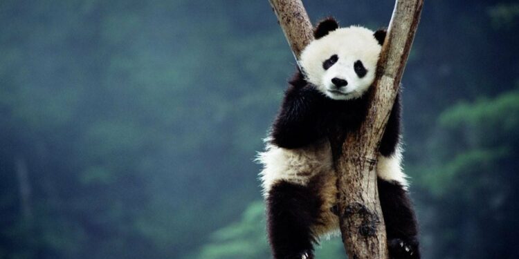 Март айында кыргызстандыктарды узак эс алуу күндөр күтүп жатат