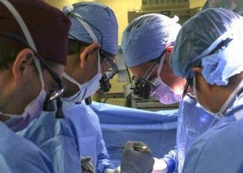 АКШда биринчи жолу чочконун бөйрөгүн адамга салышты