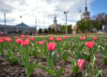 20-мартка карата өлкөдө күтүлгөн аба ырайы