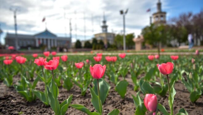 20-мартка карата өлкөдө күтүлгөн аба ырайы