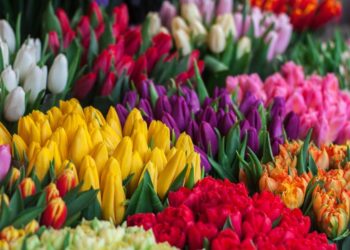 27-мартта өлкөдө күтүлгөн аба ырайы