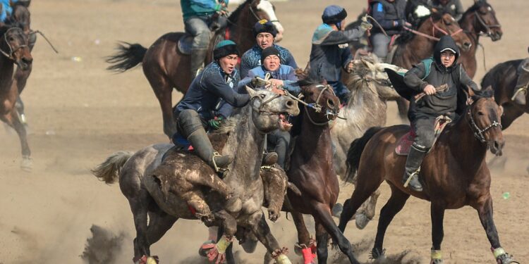 Бишкекте торпок менен аламан улак тартышты. Сүрөт