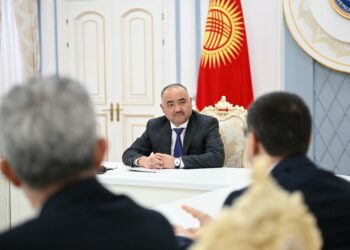 Шакиев Түркиядагы медициналык университеттин ректорун кабыл алды