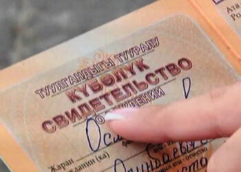 Өлкөдө 266 баланын туулгандыгы тууралуу күбөлүгү жок. Эмнеге?