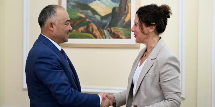 Нурланбек Шакиев БУУнун Кыргызстандагы координаторун кабыл алды